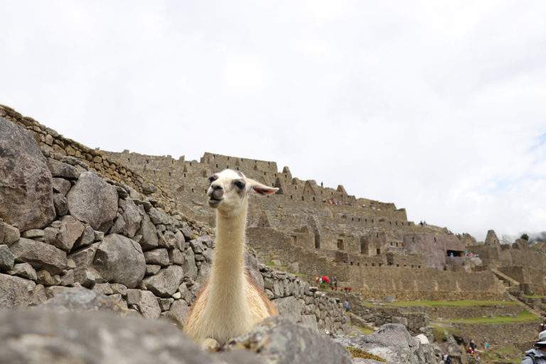 sacred valley to machupicchu 2 days