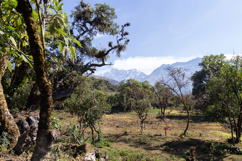 salkantay reatreat 9 days